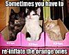 funny cats-reinflate.jpg