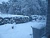 Let it snow, let it snow, let it snow!!-view-my-kitchen-window.jpg