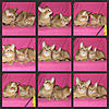 Just a few of the 300 shots taken today!! lol-sorrelboyandgirl.jpg