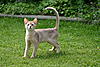 IMG_2866.jpg