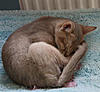 Noa 091 (Small).jpg