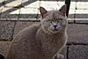 DSC01673.JPG