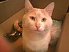 My Beloved, Non MC,Fudge (RIP)-photo0640.jpg