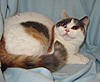 Click image for larger version. 

Name:	20120304_8.JPG 
Views:	18 
Size:	76.1 KB 
ID:	5379