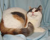 Click image for larger version. 

Name:	20120304_9.JPG 
Views:	13 
Size:	83.2 KB 
ID:	5380