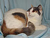 Click image for larger version. 

Name:	20120304_11.JPG 
Views:	12 
Size:	73.3 KB 
ID:	5381