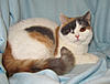 Click image for larger version. 

Name:	20120304_12.JPG 
Views:	15 
Size:	86.4 KB 
ID:	5382