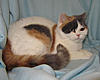 Click image for larger version. 

Name:	20120304_13.JPG 
Views:	9 
Size:	84.1 KB 
ID:	5383