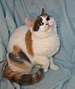 Click image for larger version. 

Name:	20120304_15.jpg 
Views:	12 
Size:	80.9 KB 
ID:	5384