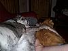 best friends-bennyandtyson-1-.jpg