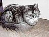Click image for larger version. 

Name:	Ms-Vicky.jpg 
Views:	5 
Size:	16.4 KB 
ID:	7094