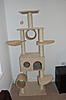 Any cat tree recommendations?-dsc_0552.jpg