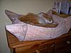 New "in" bed for winter !-100_2286.jpg