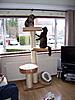 Any cat tree recommendations?-100_2076.jpg