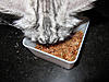 How to make healthy cat treats-flakes2.jpg
