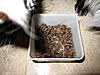 How to make healthy cat treats-gedroogdhert2.jpg
