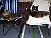 Relaxing day at the show-100_2136.jpg