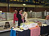 TICA Show Rotterdam- Netherlands  5th of November 2011 SPECIAL.... Mainecoons-ticashow-20110010.jpg