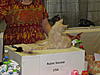 Click image for larger version. 

Name:	ticashow 20110025.jpg 
Views:	7 
Size:	79.2 KB 
ID:	4418