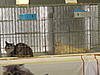 Click image for larger version. 

Name:	ticashow 20110038.jpg 
Views:	7 
Size:	97.1 KB 
ID:	4429