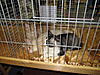Click image for larger version. 

Name:	ticashow 20110050.jpg 
Views:	8 
Size:	97.8 KB 
ID:	4438
