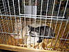 Click image for larger version. 

Name:	ticashow 20110051.jpg 
Views:	9 
Size:	98.9 KB 
ID:	4439