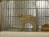 Click image for larger version. 

Name:	ticashow 20110056.jpg 
Views:	9 
Size:	97.1 KB 
ID:	4444