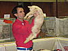 TICA Show Rotterdam- Netherlands  5th of November 2011 SPECIAL.... Mainecoons-ticashow-20110006.jpg