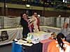 TICA Show Rotterdam- Netherlands  5th of November 2011 SPECIAL.... Mainecoons-ticashow-20110009.jpg
