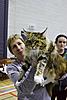 ulster siamese and all breed cat show 2/11/2013-_mg_9191-editsmall.jpg