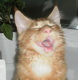 Elisaw Andrey's Avatar