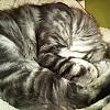 img00079-20110425-2022