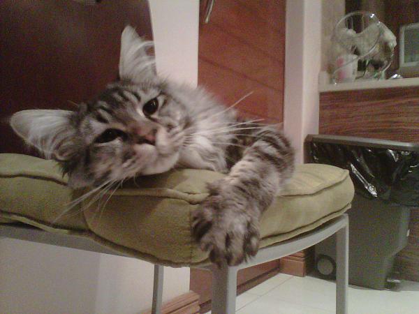 img00160-20110712-0646