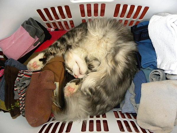 No Longer Clean Laundry