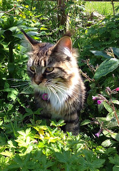 Jessie exploring