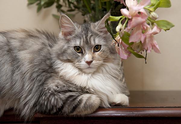 Ella with the flowers