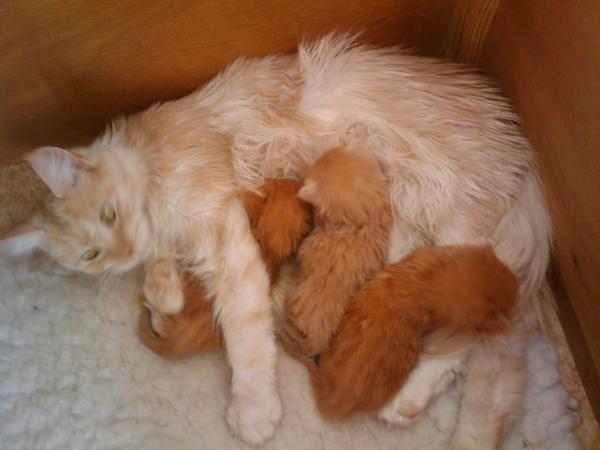 With his brothers and mum