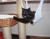 Welly Has Worked Out How To Keep His Hammock Still