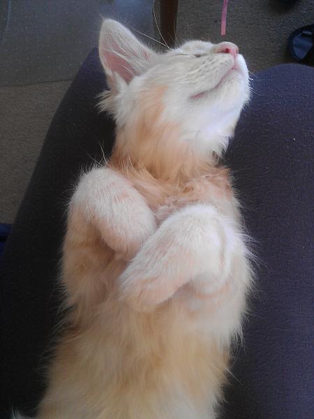 very sleepy!