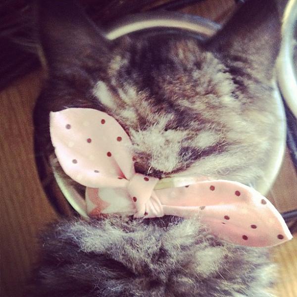 Libby's bow