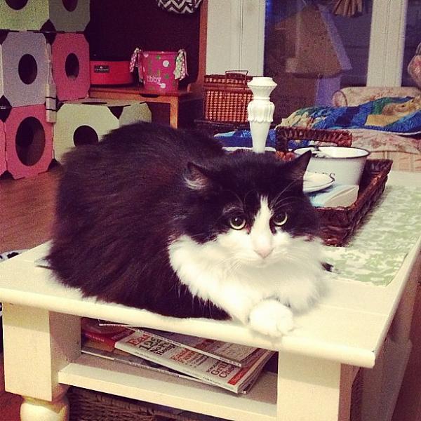 Oliver