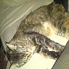 so cute when she s sleeping by Alekto