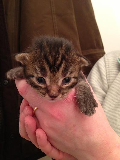 Our little fellas