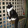 Boris 6 months by Heather2mc