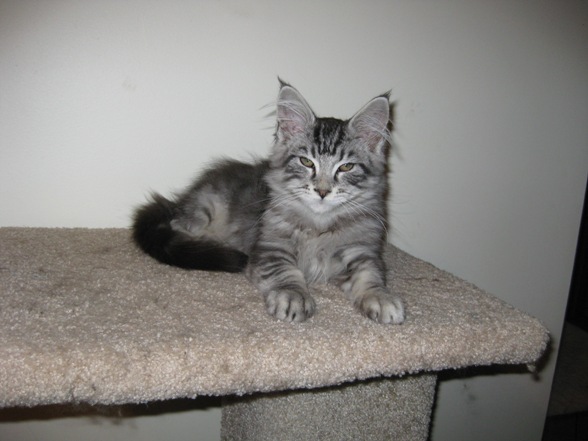 Zack At 15 Weeks