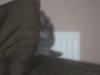 I M Not Coming Out