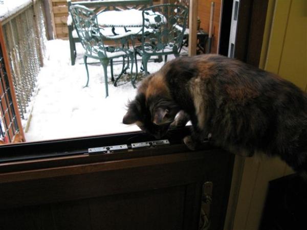 Alice On The Stable Door