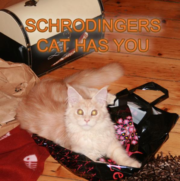 Schrodinger Has You