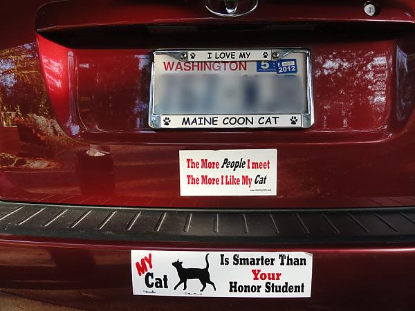 MY CAR'S BUMPER STICKERS