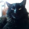 Prinz Charlie looking very content... by Marcus